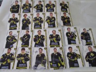 46-f105-22-autogrammkarten-onesto-tigers-bayreuth-handsigniert-3836-1.jpg