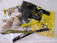 46-f91-1-fan-paket-7-tlg-trikot-gr-l-nr-66-teddybaer-schluesselband-flagge-mini-shirt-nr-88-bijsterbosch-2x-stulpen-nr-32-3822-1.jpg