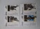 28-f60-15-spielerkarten-u-a-a-schusser-mc-leod-luesch-barber-verelst-muellejans-etc-3687-8.jpg