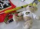 46-f72-1-fan-paket-5-tlg-trikot-gr-xl-nr-88-bollers-teddybaer-schluesselband-flagge-stulpen-nr-23-handsigniert-3803-2.jpg