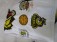 46-f80-1-fan-paket-7-tlg-3x-trikot-gr-xl-l-nr-92-piskor-schluesselband-teddybaer-flagge-stulpen-nr-92-handsigniert-3811-6.jpg