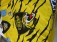 46-f81-1-fan-paket-6-tlg-2x-trikot-gr-xl-xxl-nr-9-schluesselband-teddybaer-flagge-stulpen-nr-9-handsigniert-3812-10.jpg