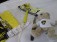 46-f96-1-fan-paket-5-tlg-t-shirt-gr-xxl-teddybaer-flagge-schluesselband-stulpen-3827-2.jpg
